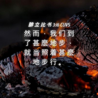Picture 04 - 腓 立 比 书 3:16 CUVS - 然 而 ， 我 们 到 了 甚 麽 地 步 ， - Bible Verse Picture