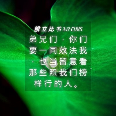 Picture 04 - 腓 立 比 书 3:17 CUVS - 弟 兄 们 ， 你 们 要 一 同 效 法 我 - Bible Verse Picture