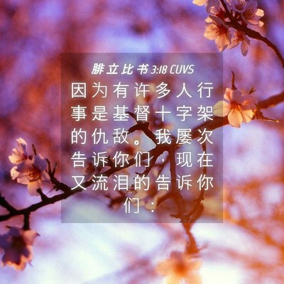Picture 04 - 腓 立 比 书 3:18 CUVS - 因 为 有 许 多 人 行 事 是 基 督 十 - Bible Verse Picture
