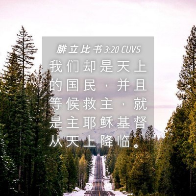 Picture 04 - 腓 立 比 书 3:20 CUVS - 我 们 却 是 天 上 的 国 民 ， 并 且 - Bible Verse Picture