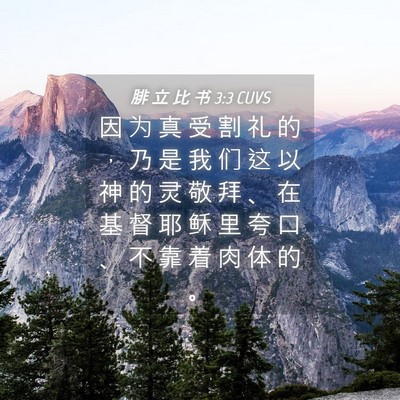 Picture 04 - 腓 立 比 书 3:3 CUVS - 因 为 真 受 割 礼 的 ， 乃 是 我 们 - Bible Verse Picture