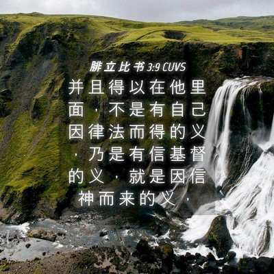 Picture 04 - 腓 立 比 书 3:9 CUVS - 并 且 得 以 在 他 里 面 ， 不 是 有 - Bible Verse Picture
