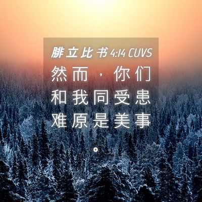 Picture 04 - 腓 立 比 书 4:14 CUVS - 然 而 ， 你 们 和 我 同 受 患 难 原 - Bible Verse Picture