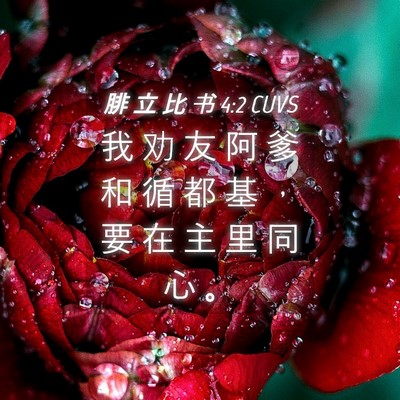 Picture 04 - 腓 立 比 书 4:2 CUVS - 我 劝 友 阿 爹 和 循 都 基 ， 要 在 - Bible Verse Picture