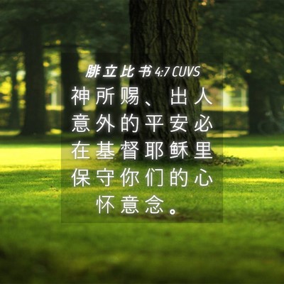 Picture 04 - 腓 立 比 书 4:7 CUVS - 神 所 赐 、 出 人 意 外 的 平 安 必 - Bible Verse Picture