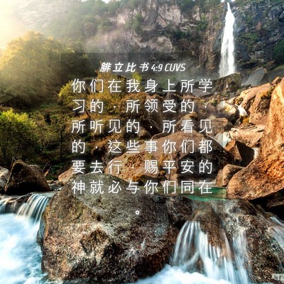 Picture 04 - 腓 立 比 书 4:9 CUVS - 你 们 在 我 身 上 所 学 习 的 ， 所 - Bible Verse Picture