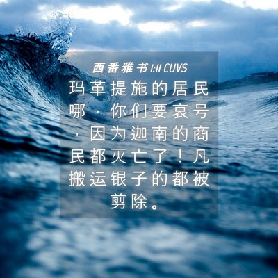 Picture 04 - 西 番 雅 书 1:11 CUVS - 玛 革 提 施 的 居 民 哪 ， 你 们 要 - Bible Verse Picture