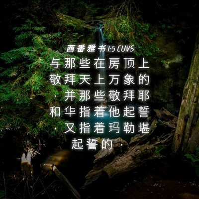 Picture 04 - 西 番 雅 书 1:5 CUVS - 与 那 些 在 房 顶 上 敬 拜 天 上 万 - Bible Verse Picture
