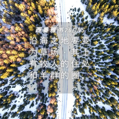 Picture 04 - 西 番 雅 书 2:6 CUVS - 沿 海 之 地 要 变 为 草 场 ， 其 上 - Bible Verse Picture