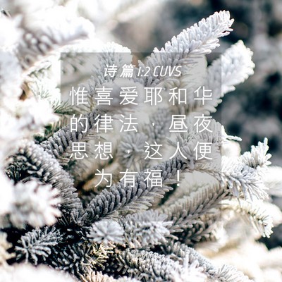 Picture 04 - 诗 篇 1:2 CUVS - 惟 喜 爱 耶 和 华 的 律 法 ， 昼 夜 - Bible Verse Picture
