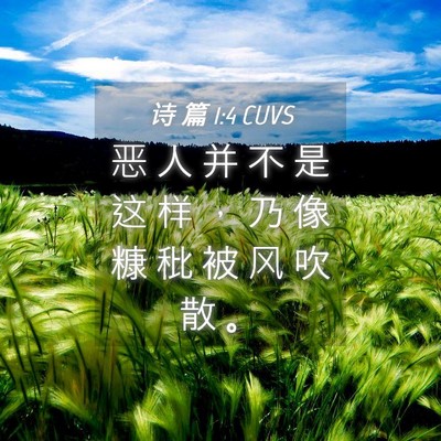 Picture 04 - 诗 篇 1:4 CUVS - 恶 人 并 不 是 这 样 ， 乃 像 糠 秕 - Bible Verse Picture