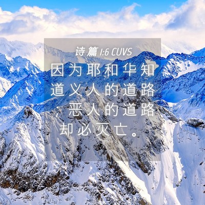 Picture 04 - 诗 篇 1:6 CUVS - 因 为 耶 和 华 知 道 义 人 的 道 路 - Bible Verse Picture
