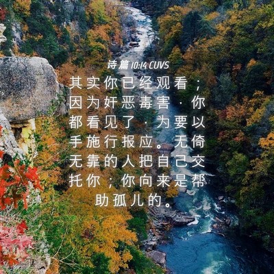 Picture 04 - 诗 篇 10:14 CUVS - 其 实 你 已 经 观 看 ； 因 为 奸 恶 - Bible Verse Picture