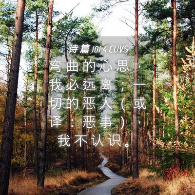 Picture 04 - 诗 篇 101:4 CUVS - 弯 曲 的 心 思 ， 我 必 远 离 ； 一 - Bible Verse Picture