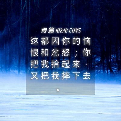 Picture 04 - 诗 篇 102:10 CUVS - 这 都 因 你 的 恼 恨 和 忿 怒 ； 你 - Bible Verse Picture