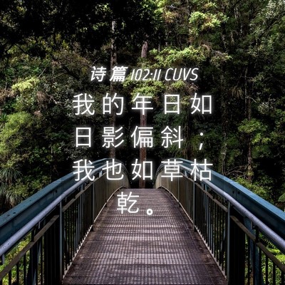 Picture 04 - 诗 篇 102:11 CUVS - 我 的 年 日 如 日 影 偏 斜 ； 我 也 - Bible Verse Picture