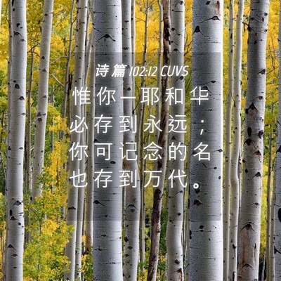 Picture 04 - 诗 篇 102:12 CUVS - 惟 你 ─ 耶 和 华 必 存 到 永 远 ； - Bible Verse Picture