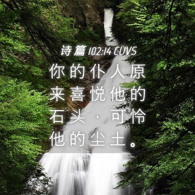 Picture 04 - 诗 篇 102:14 CUVS - 你 的 仆 人 原 来 喜 悦 他 的 石 头 - Bible Verse Picture