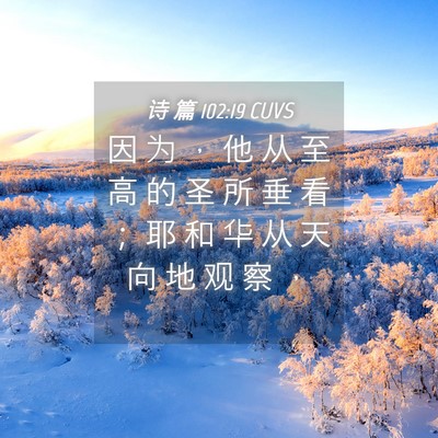 Picture 04 - 诗 篇 102:19 CUVS - 因 为 ， 他 从 至 高 的 圣 所 垂 看 - Bible Verse Picture