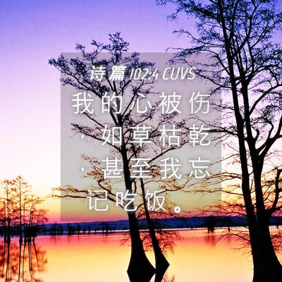 Picture 04 - 诗 篇 102:4 CUVS - 我 的 心 被 伤 ， 如 草 枯 乾 ， 甚 - Bible Verse Picture