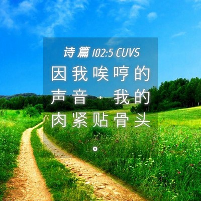 Picture 04 - 诗 篇 102:5 CUVS - 因 我 唉 哼 的 声 音 ， 我 的 肉 紧 - Bible Verse Picture