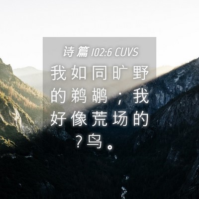 Picture 04 - 诗 篇 102:6 CUVS - 我 如 同 旷 野 的 鹈 鹕 ； 我 好 像 - Bible Verse Picture