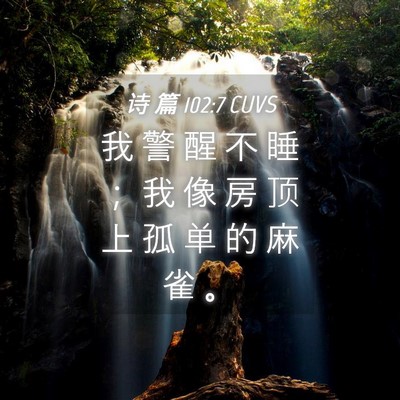 Picture 04 - 诗 篇 102:7 CUVS - 我 警 醒 不 睡 ； 我 像 房 顶 上 孤 - Bible Verse Picture
