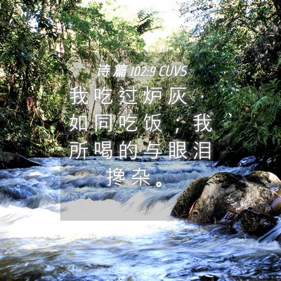 Picture 04 - 诗 篇 102:9 CUVS - 我 吃 过 炉 灰 ， 如 同 吃 饭 ； 我 - Bible Verse Picture