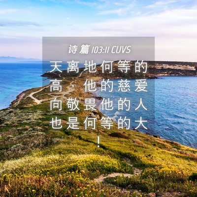 Picture 04 - 诗 篇 103:11 CUVS - 天 离 地 何 等 的 高 ， 他 的 慈 爱 - Bible Verse Picture