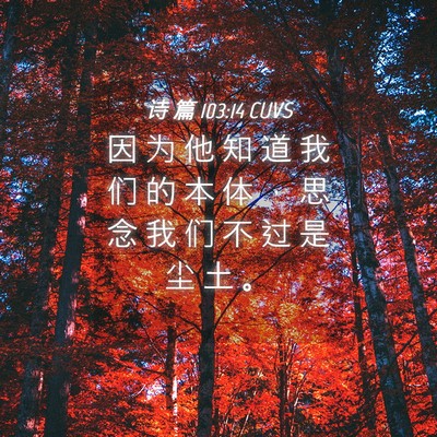 Picture 04 - 诗 篇 103:14 CUVS - 因 为 他 知 道 我 们 的 本 体 ， 思 - Bible Verse Picture