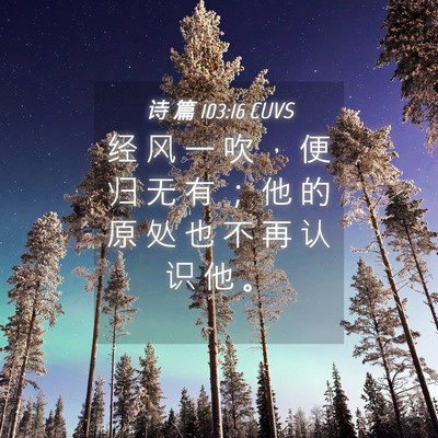 Picture 04 - 诗 篇 103:16 CUVS - 经 风 一 吹 ， 便 归 无 有 ； 他 的 - Bible Verse Picture
