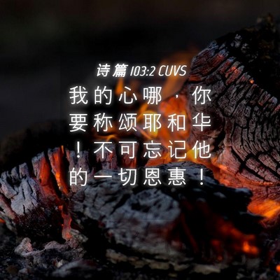 Picture 04 - 诗 篇 103:2 CUVS - 我 的 心 哪 ， 你 要 称 颂 耶 和 华 - Bible Verse Picture