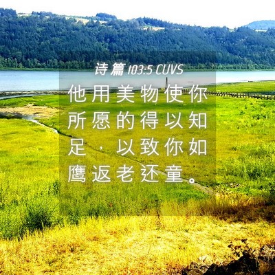 Picture 04 - 诗 篇 103:5 CUVS - 他 用 美 物 使 你 所 愿 的 得 以 知 - Bible Verse Picture