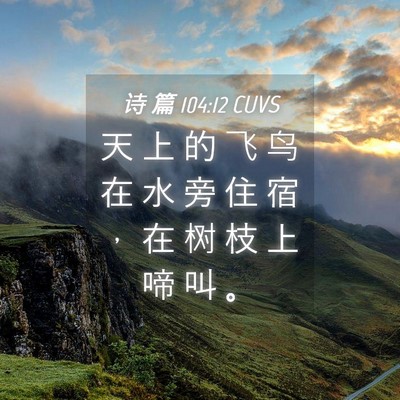 Picture 04 - 诗 篇 104:12 CUVS - 天 上 的 飞 鸟 在 水 旁 住 宿 ， 在 - Bible Verse Picture