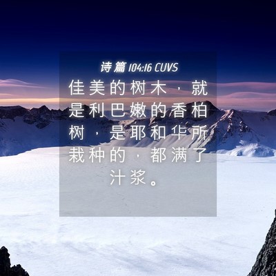 Picture 04 - 诗 篇 104:16 CUVS - 佳 美 的 树 木 ， 就 是 利 巴 嫩 的 - Bible Verse Picture