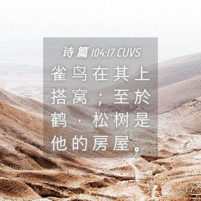 Picture 04 - 诗 篇 104:17 CUVS - 雀 鸟 在 其 上 搭 窝 ； 至 於 鹤 ， - Bible Verse Picture