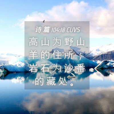 Picture 04 - 诗 篇 104:18 CUVS - 高 山 为 野 山 羊 的 住 所 ； 岩 石 - Bible Verse Picture