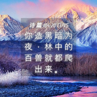 Picture 04 - 诗 篇 104:20 CUVS - 你 造 黑 暗 为 夜 ， 林 中 的 百 兽 - Bible Verse Picture