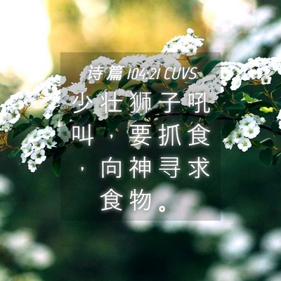 Picture 04 - 诗 篇 104:21 CUVS - 少 壮 狮 子 吼 叫 ， 要 抓 食 ， 向 - Bible Verse Picture