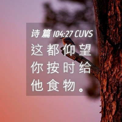 Picture 04 - 诗 篇 104:27 CUVS - 这 都 仰 望 你 按 时 给 他 食 物 - Bible Verse Picture
