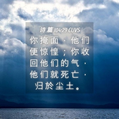 Picture 04 - 诗 篇 104:29 CUVS - 你 掩 面 ， 他 们 便 惊 惶 ； 你 收 - Bible Verse Picture