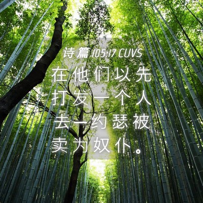Picture 04 - 诗 篇 105:17 CUVS - 在 他 们 以 先 打 发 一 个 人 去 ─ - Bible Verse Picture