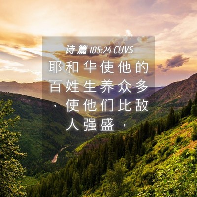 Picture 04 - 诗 篇 105:24 CUVS - 耶 和 华 使 他 的 百 姓 生 养 众 多 - Bible Verse Picture