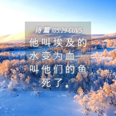 Picture 04 - 诗 篇 105:29 CUVS - 他 叫 埃 及 的 水 变 为 血 ， 叫 他 - Bible Verse Picture