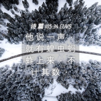 Picture 04 - 诗 篇 105:34 CUVS - 他 说 一 声 ， 就 有 蝗 虫 蚂 蚱 上 - Bible Verse Picture