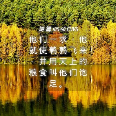 Picture 04 - 诗 篇 105:40 CUVS - 他 们 一 求 ， 他 就 使 鹌 鹑 飞 来 - Bible Verse Picture