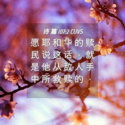 Picture 04 - 诗 篇 107:2 CUVS - 愿 耶 和 华 的 赎 民 说 这 话 ， 就 - Bible Verse Picture
