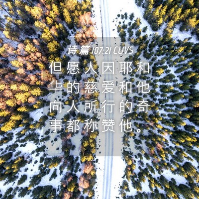 Picture 04 - 诗 篇 107:21 CUVS - 但 愿 人 因 耶 和 华 的 慈 爱 和 他 - Bible Verse Picture