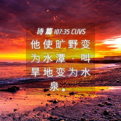 Picture 04 - 诗 篇 107:35 CUVS - 他 使 旷 野 变 为 水 潭 ， 叫 旱 地 - Bible Verse Picture