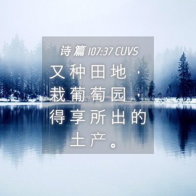 Picture 04 - 诗 篇 107:37 CUVS - 又 种 田 地 ， 栽 葡 萄 园 ， 得 享 - Bible Verse Picture